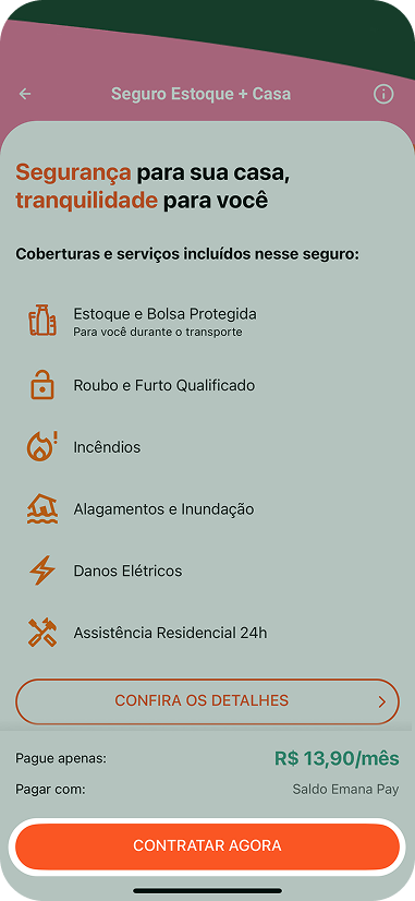 Passo 7: Efetue o pagamento